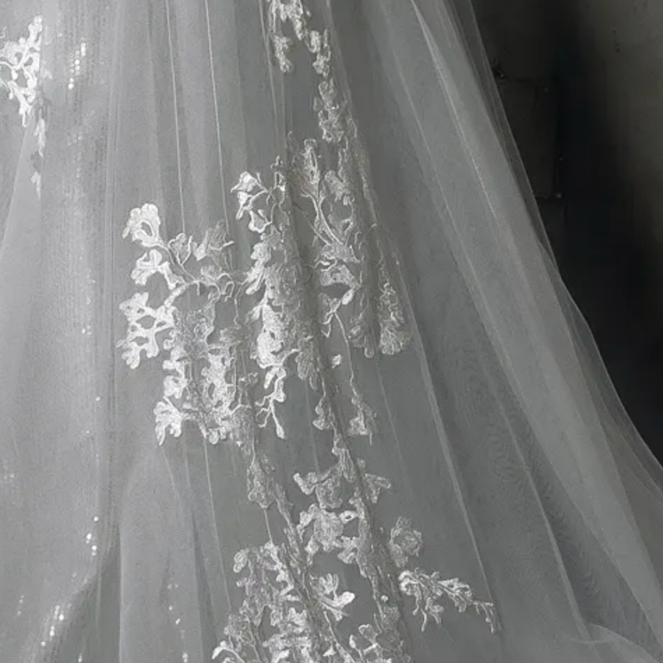 
                      
                        Shining V-Neck Wedding Dress With Long Tulle Train
                      
                    