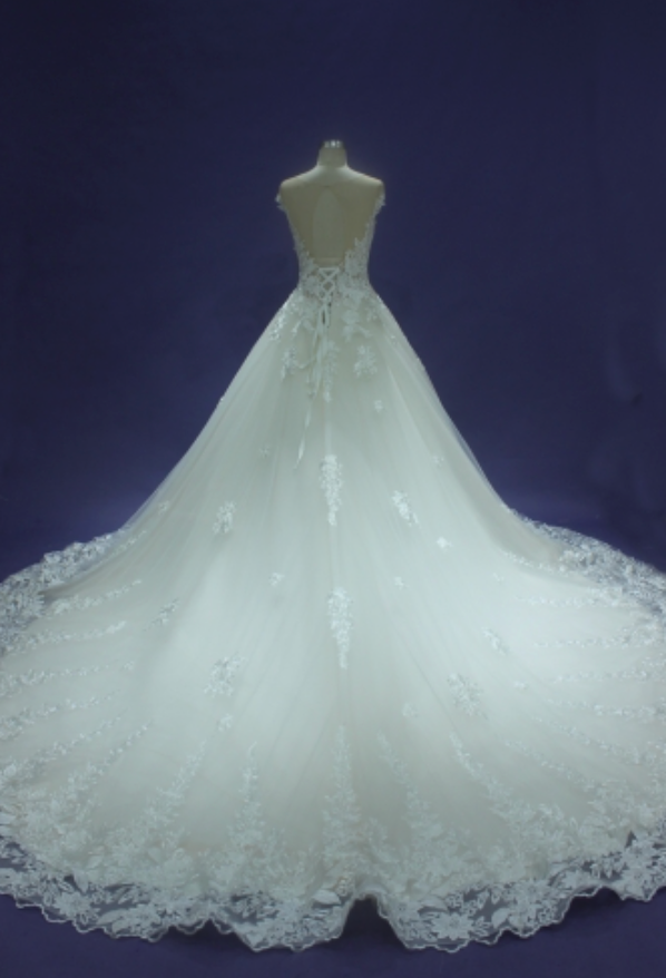 
                      
                        Luxurious Lace A Line Wedding Bridal Gown
                      
                    