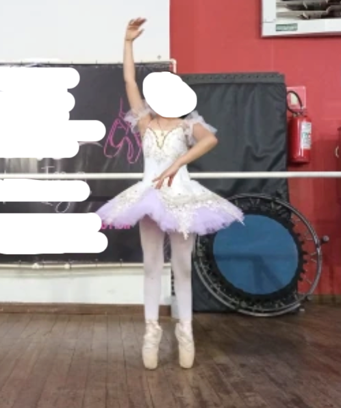 Childs Professional Ballet Tutus Ballerina Dance Costume