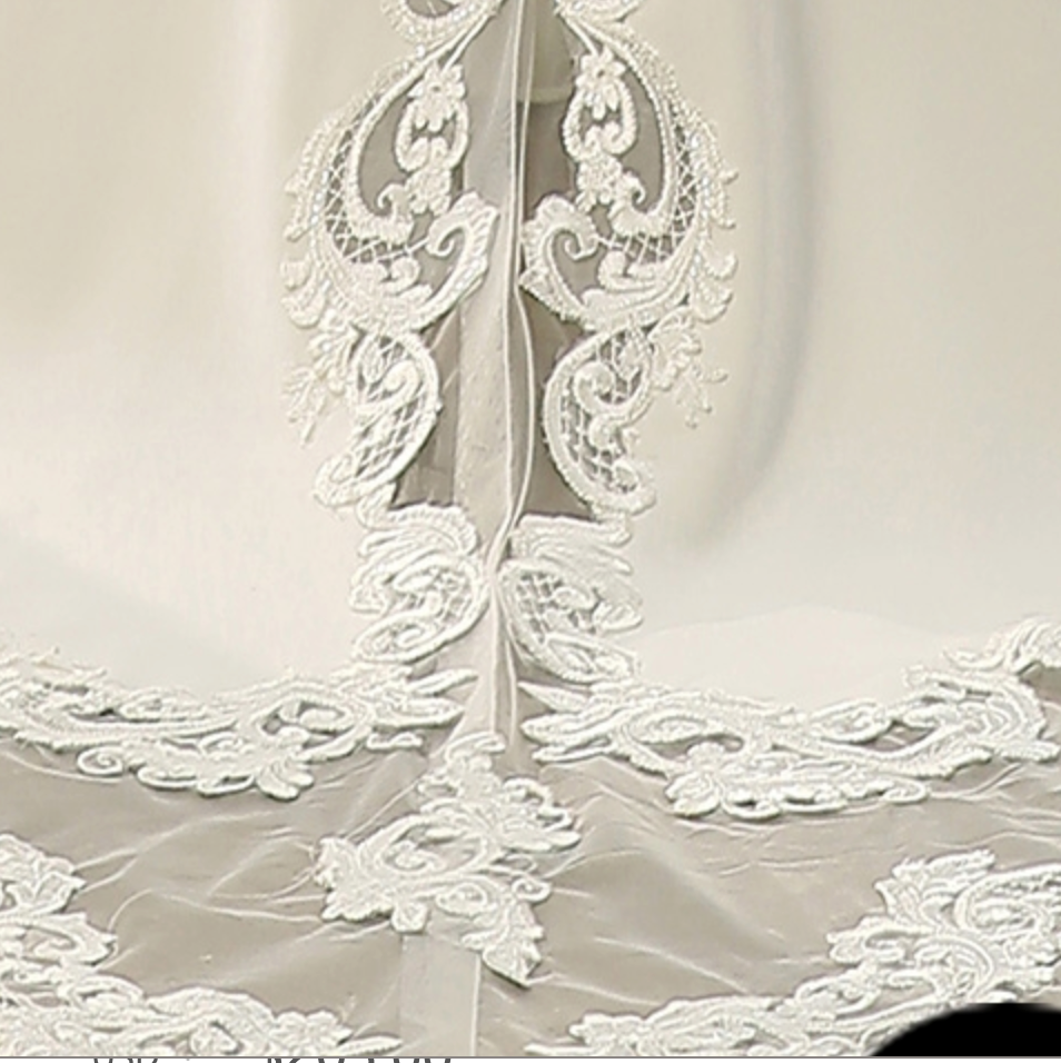 
                      
                        Graceful Illusion Lace Fit and Flare Wedding Dress
                      
                    