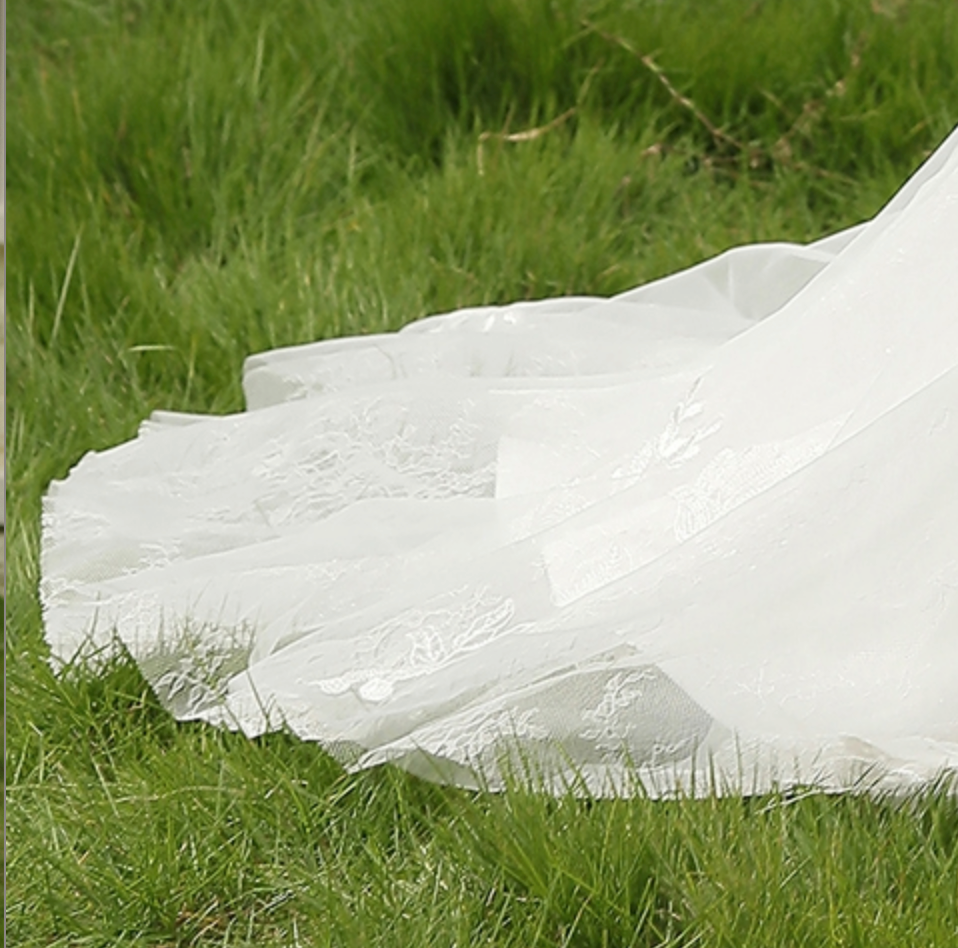 
                      
                        Spaghetti Beading Strap Fit To Flare Wedding Dress
                      
                    