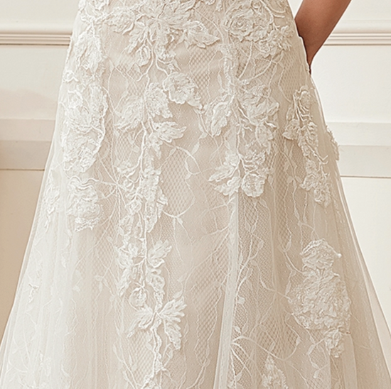 Romantic A-Line V-neck Floral Applique Court Train Bridal Gown