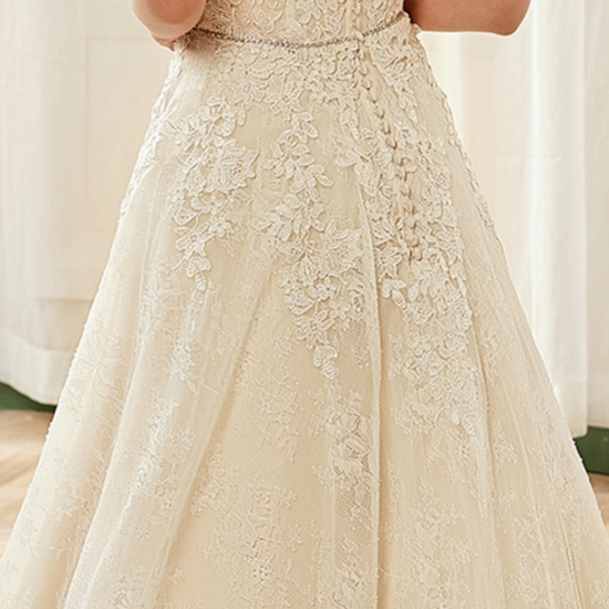 Illusion Halter Neckline Lace Tulle Bridal Gown