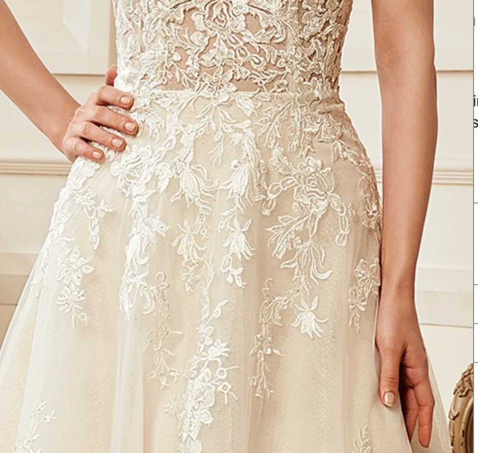 Illusion V-Neckline A-Line Lace Straps Bridal Gown Illusion V-Neckline A-Line Lace Straps Bridal Gown
