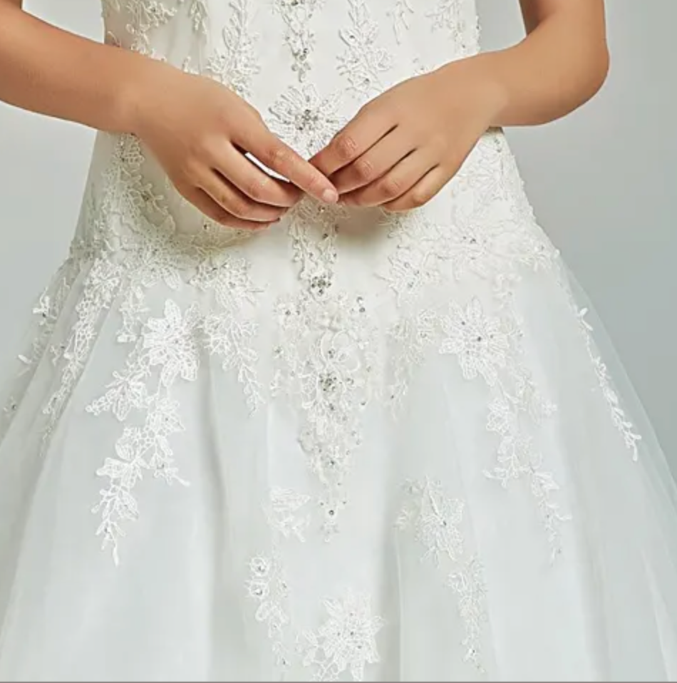 
                      
                        Elegant A-Line Sheer Back Bridal Gown With Appliques
                      
                    