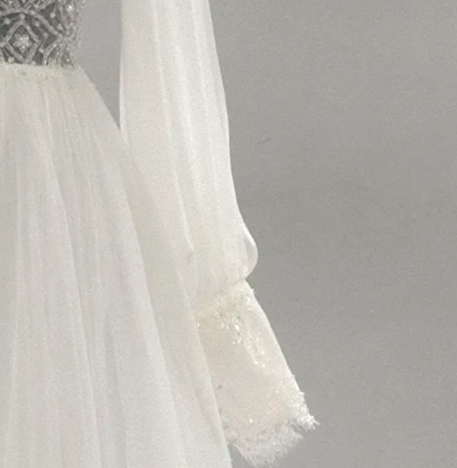 Plunging V-Neck Long Sleeves Tulle Wedding Gown