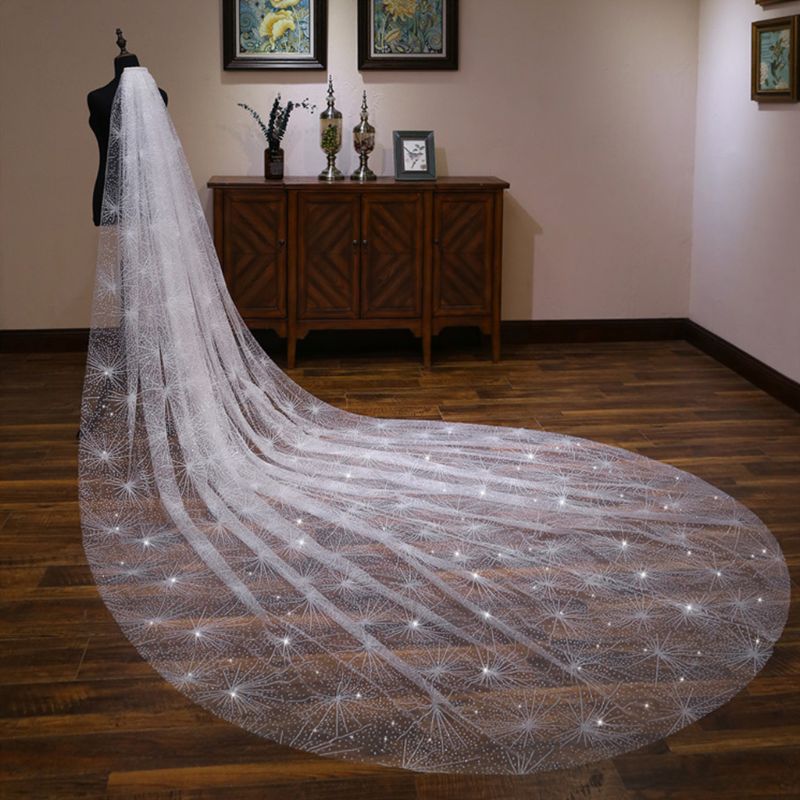 Load image into Gallery viewer, One-Layer White Trailing Starry Sky Cathedral Wedding Veil - TulleLux Bridal Crowns &amp;amp;  Accessories 
