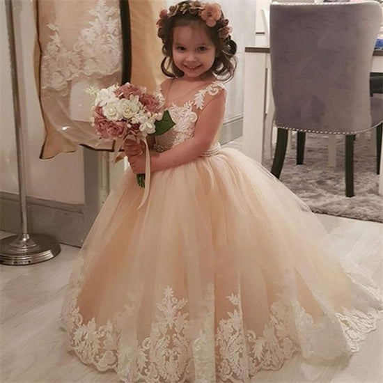 Amazon.com: Floral Lace Flower Girl Dress for Wedding Kids Pageant Party  Princess Communion Tulle Embroidered Ball Gown Size 2 Blush: Clothing,  Shoes & Jewelry