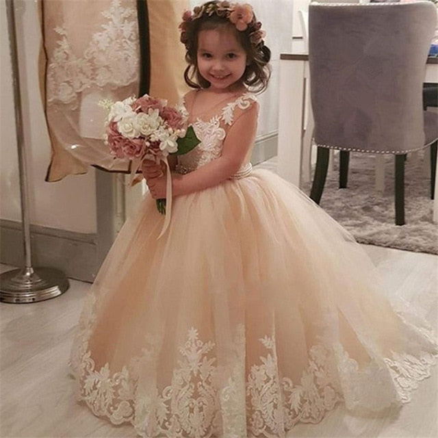 Amazon.com: Girls Pageant Dresses with Sleeves Lace Appliques Tulle  Princess Flower Girl Dress Long Ball Gown Sky Blue Size 9: Clothing, Shoes  & Jewelry