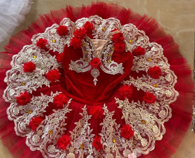
                      
                        Childs Professional Ballet Tutus Ballerina Dance Costume
                      
                    