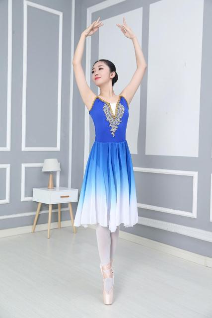 
                      
                        Young Ladies Practice Modern Dance Costume Chiffon Ballet Dress
                      
                    