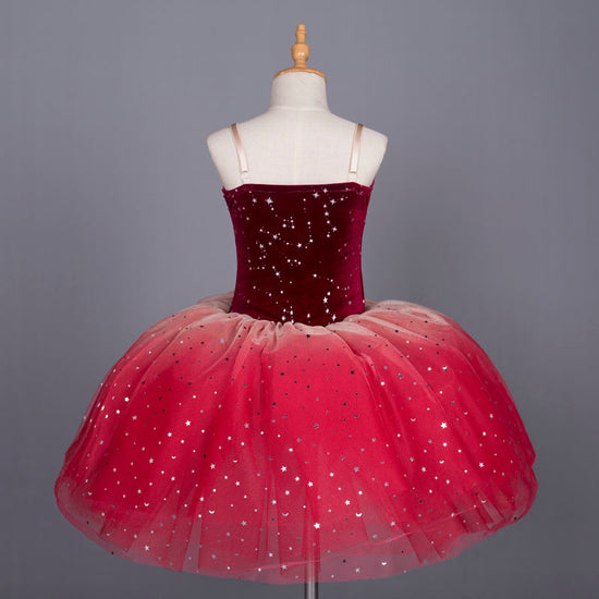 Red Purple Ballet Dress Girls Ballet Tutu Skirt Leotard